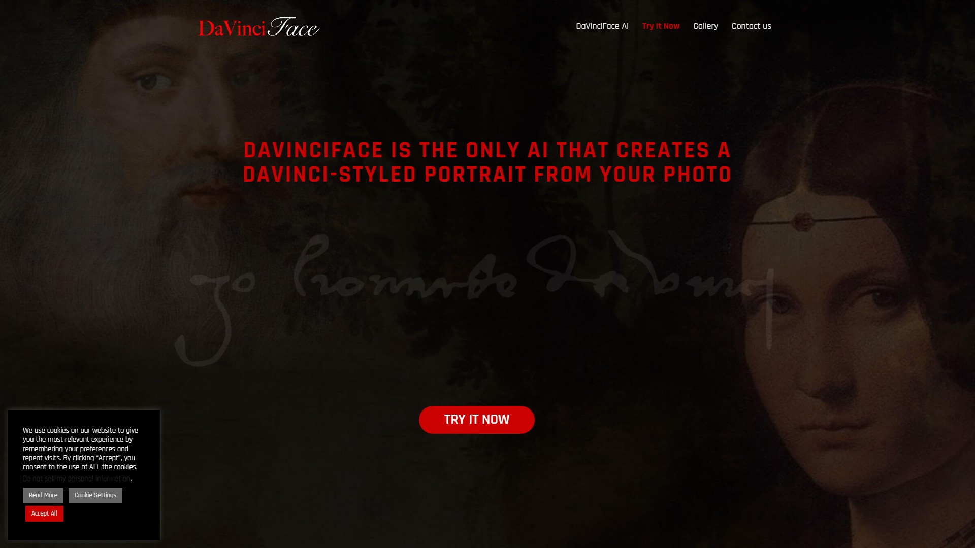 DaVinciFace