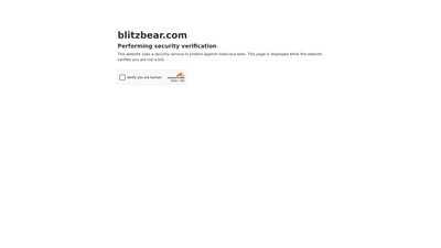 BlitzBear - AI Tool