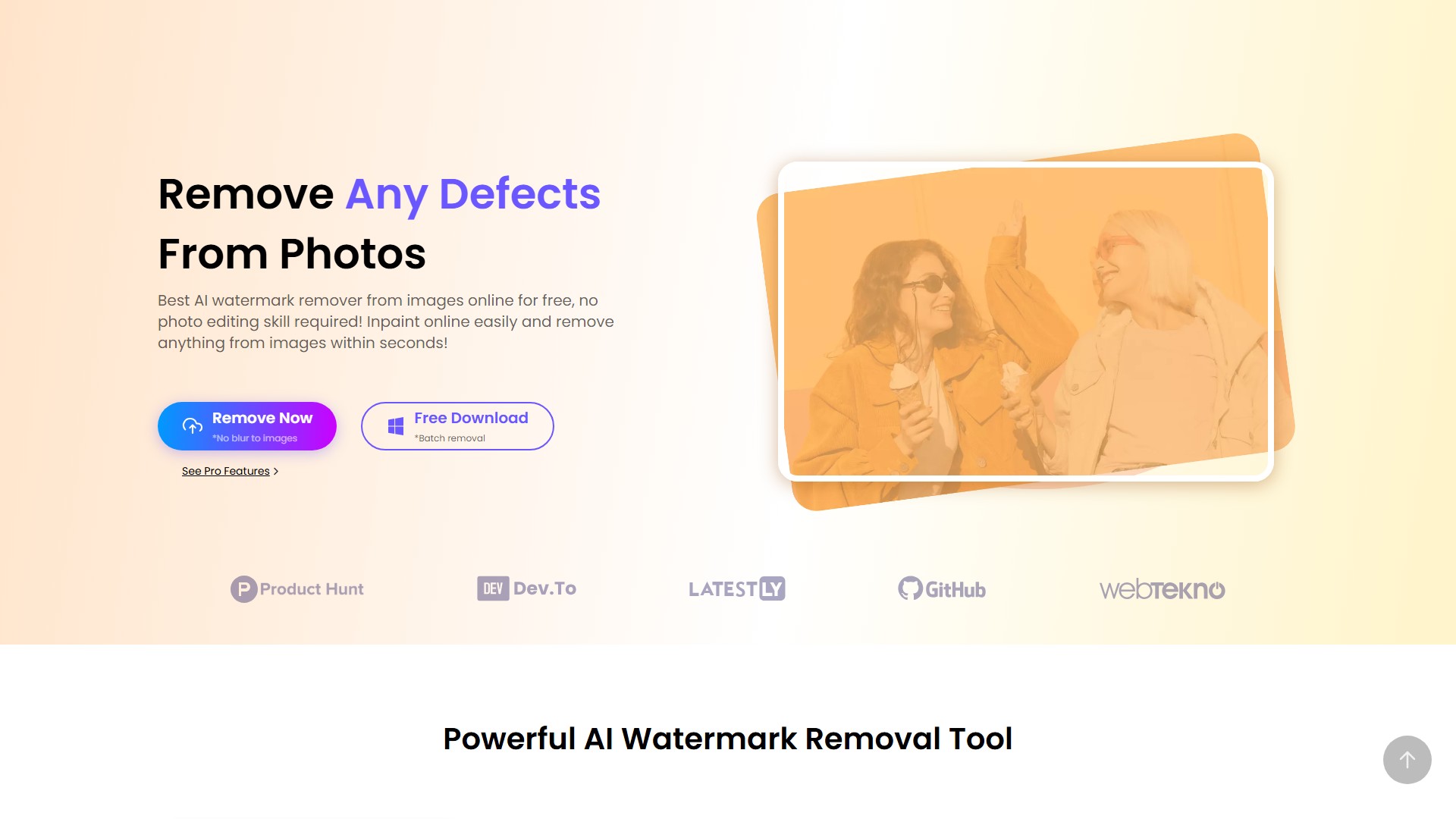 HitPaw Watermark Remover