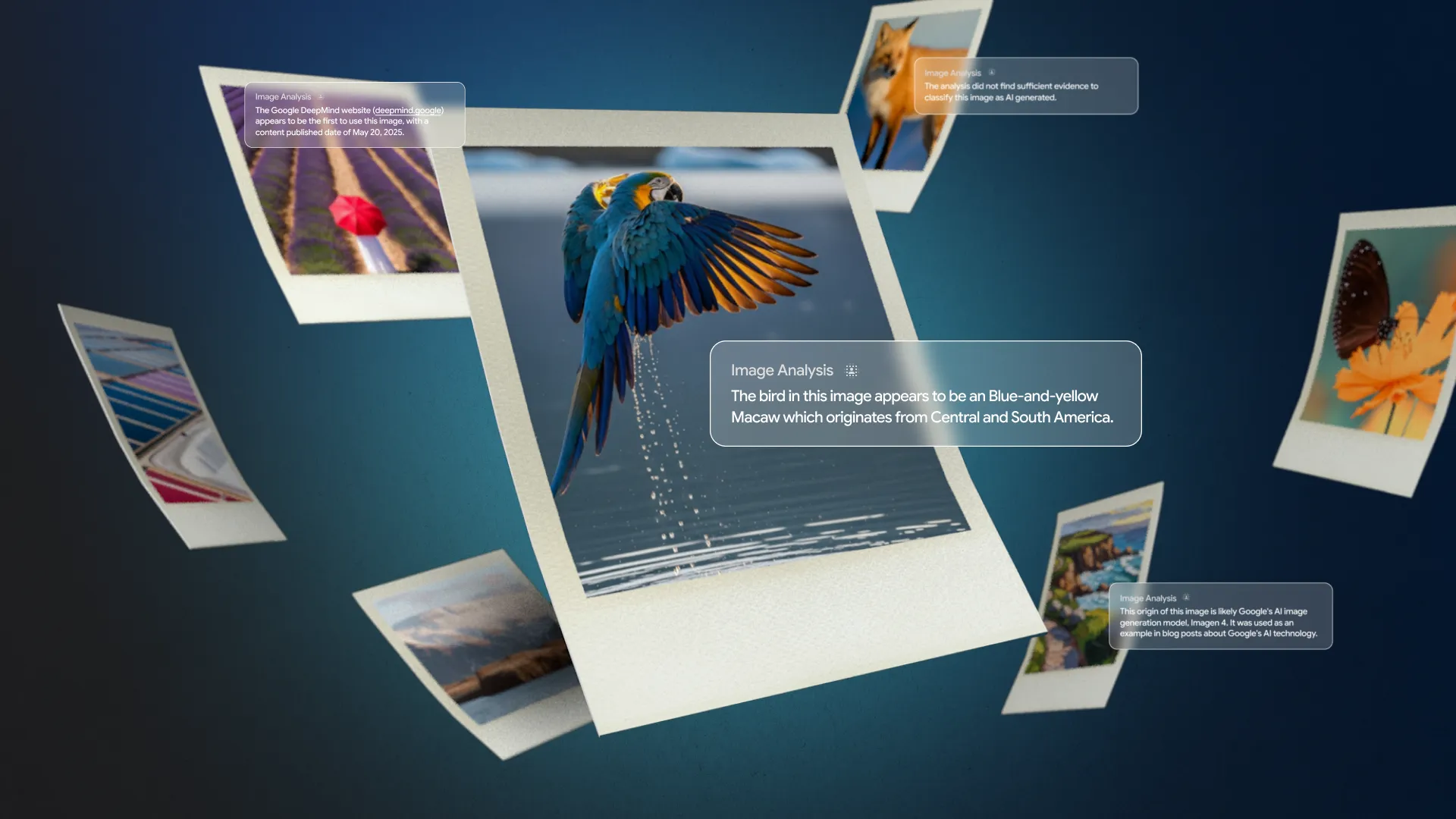 A conceptual graphic illustrating Google DeepMind’s Backstory tool, featuring digital Polaroid-style photos floating on a dark blue background with pop-up text boxes showing image analysis details such as source, subject identification, and whether the image is AI-generated.