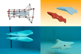 2 by 2 grid featuring a computer model of a ray-like board shape surrounded by red points connected in a mesh; red and aqua 3D models of gliders; and real-world versions of each board underwater