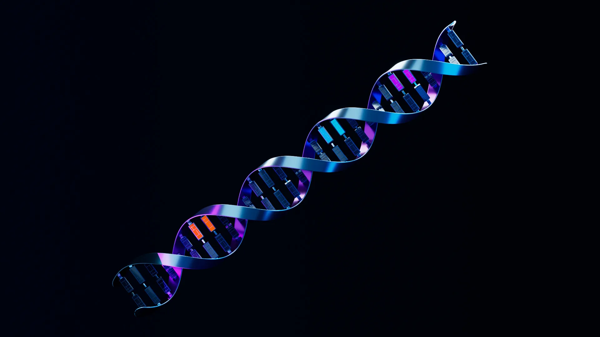 DNA.
