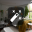 RoomAI