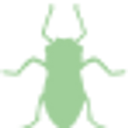Aphid
